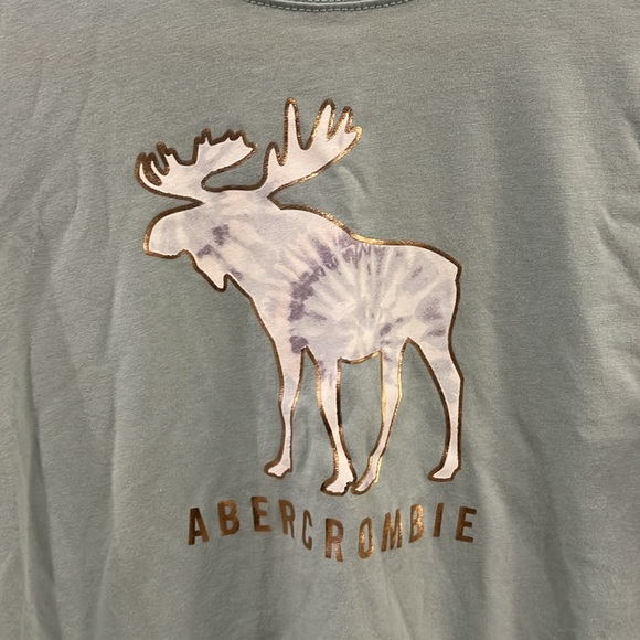 Abercrombie kids blue long sleeve moose T-shirt size 13/14 - Picture 2 of 6